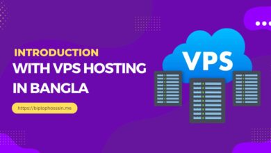 ভিপিএস হোস্টিং কি , What VPS Hosting, Introduction with VPS hosting, Virtual Private Server
